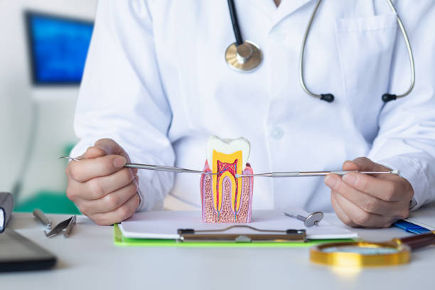 Best Emergency Root Canal Treatment in Port Washington, NY